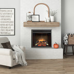 PuraFlame 26” Klaus Electric Fireplace Insert with Fire Crackling Sound Glass Door and Mesh Screen
